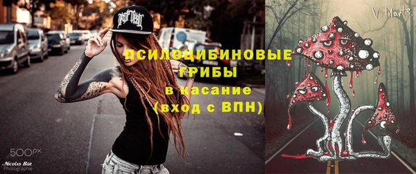 крисы Алзамай