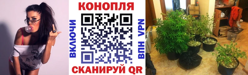 нарко площадка состав  Любим  Марихуана планчик 